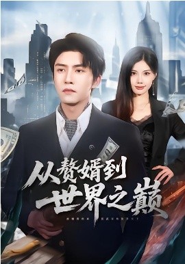 从赘婿到世界之巅